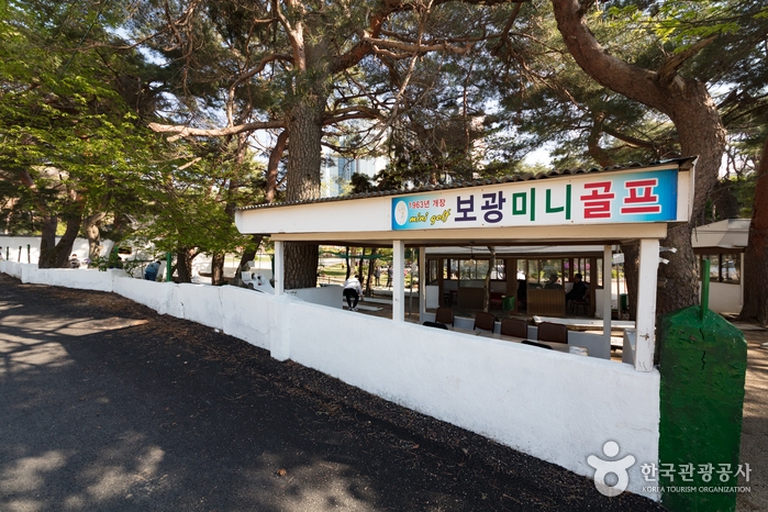 보광미니골프장, 60년을 이어온 골프란 공놀이