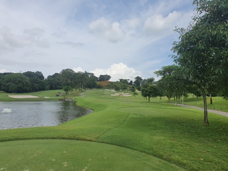 LPGA 센토사 골프클럽과 마리나베이 골프클럽 비용과 가능 인원수 알려드려요. 겨울 싱가포르 골프여행.  LPGA 센토사 골프클럽과 마리나베이... 
