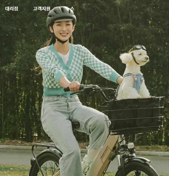 [삼천리] 주가 4배 상승의 이유는? #자전거회사아님 #도시가스