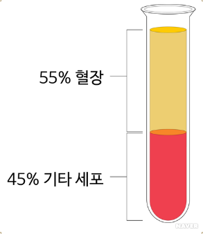 혈장치료 관련주 정리