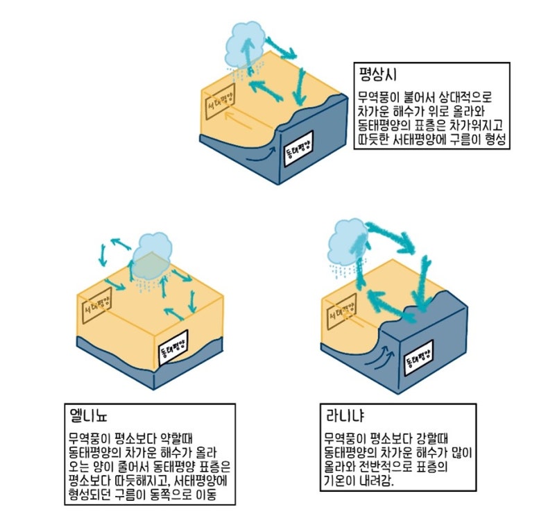 5. 개인·가정이 실천할 수 있는 구체적 냉방·수분 관리법