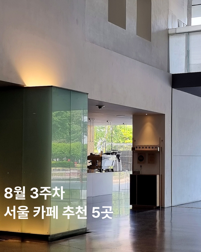 서울 카페 추천 5곳 (8월 3주차)