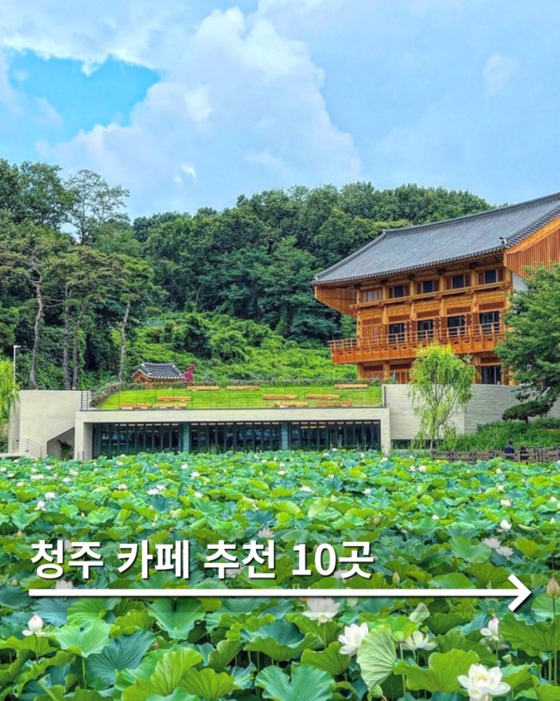 충북 청주 카페 10곳 추천