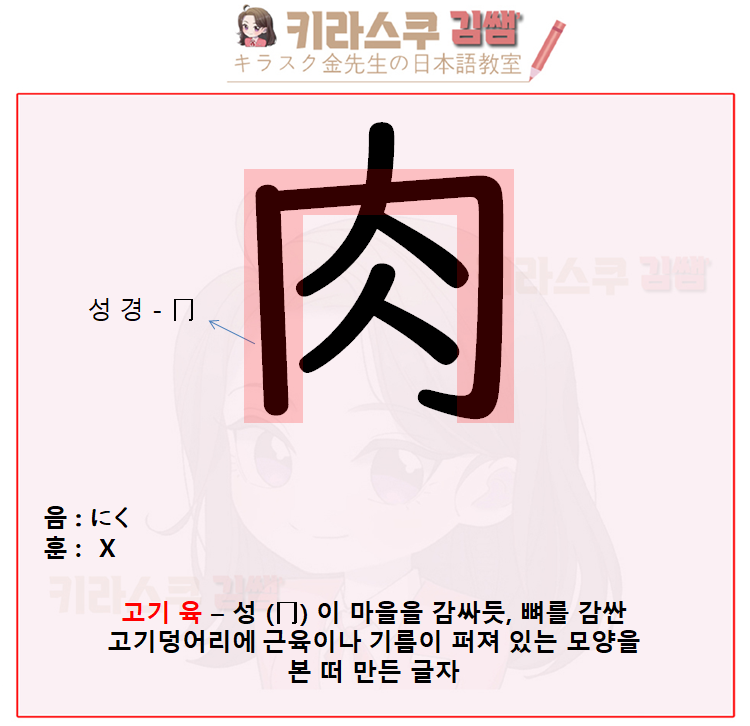 [ 일본초등 / 2학년한자 ] 물고기 어 - 魚, 고기 육 - 肉, 새 조 - 鳥