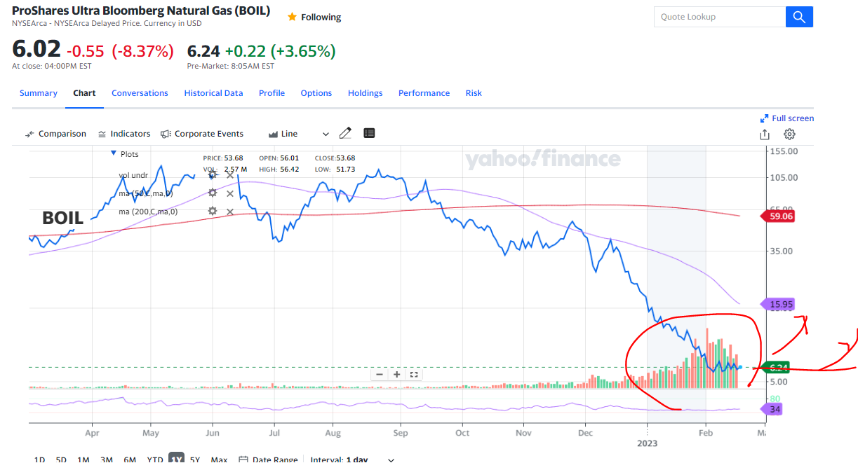 BOIL 예상 ProShares Ultra Bloomberg Natural Gas