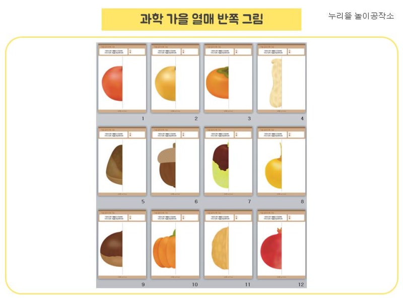 과학) 가을 열매 반쪽 그림