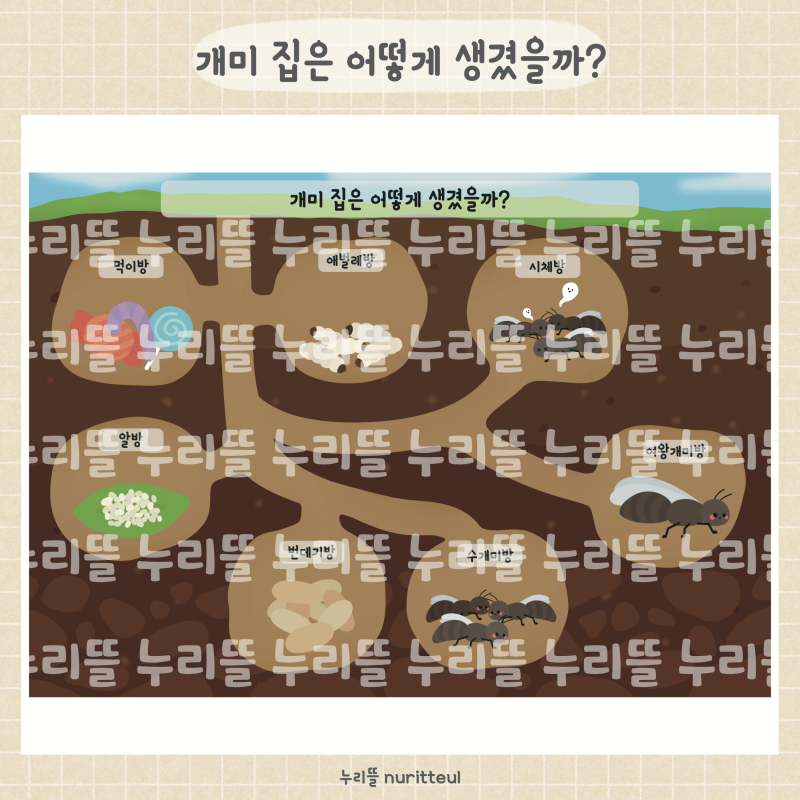 댓글 : 과학) 개미 집은 어떻게 생겼을까?