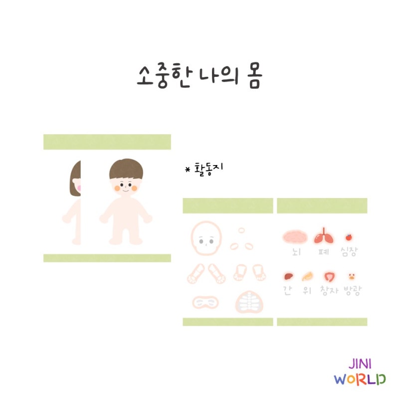 나의 몸 활동지/ 몸 속 기관/ 몸의 뼈