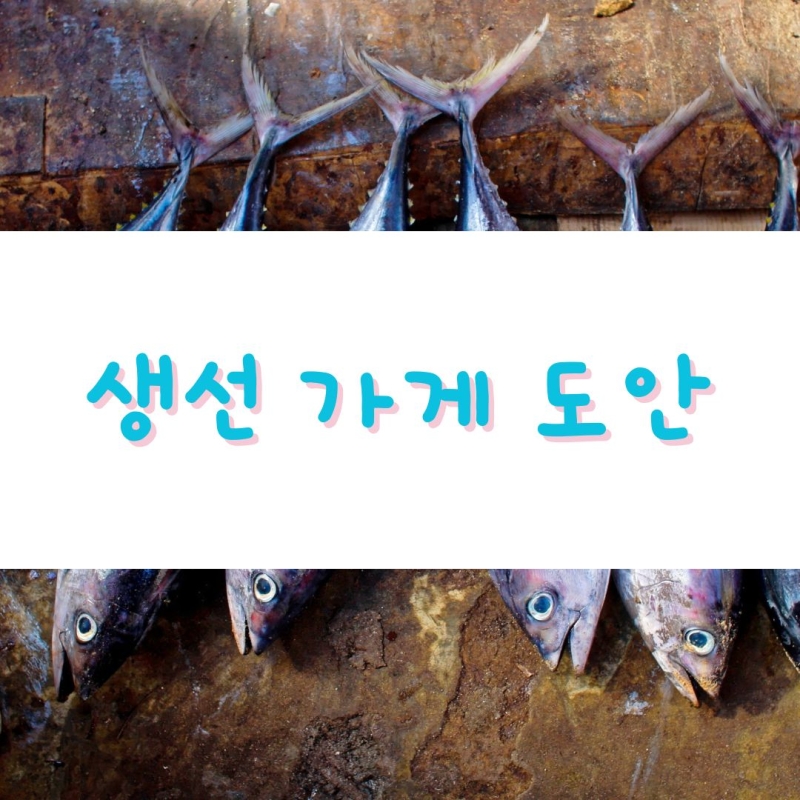 [우리동네] 나만의 가게 꾸미기 / 생선 가게 / 역할놀이 / 미술 영역 / 색칠 공부 / 언어 영역