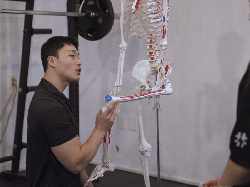 스퀏(Squat) 보강운동: 대요근(Psoas) Part.