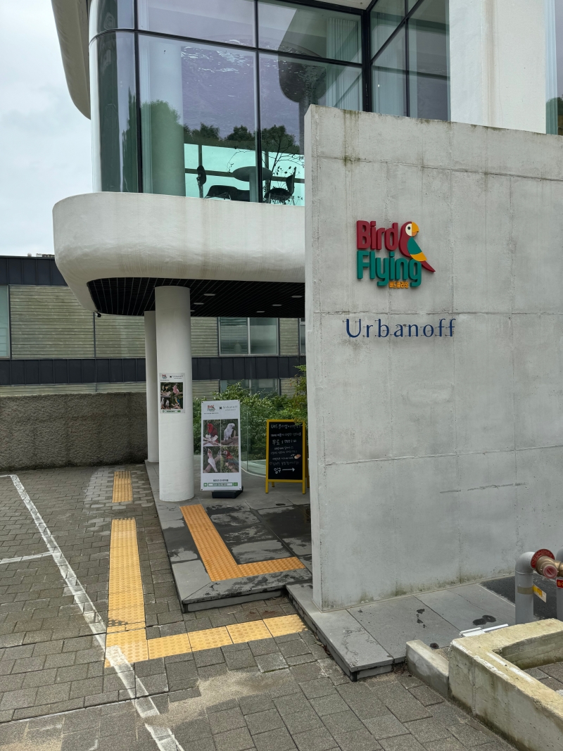 예쁜 앵무새와 놀아볼 수 있는 예쁜 카페, 파주 헤이리 <버드플라잉 & 어반오프>