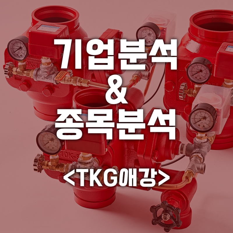기업분석 & 종목분석 <TKG애강>