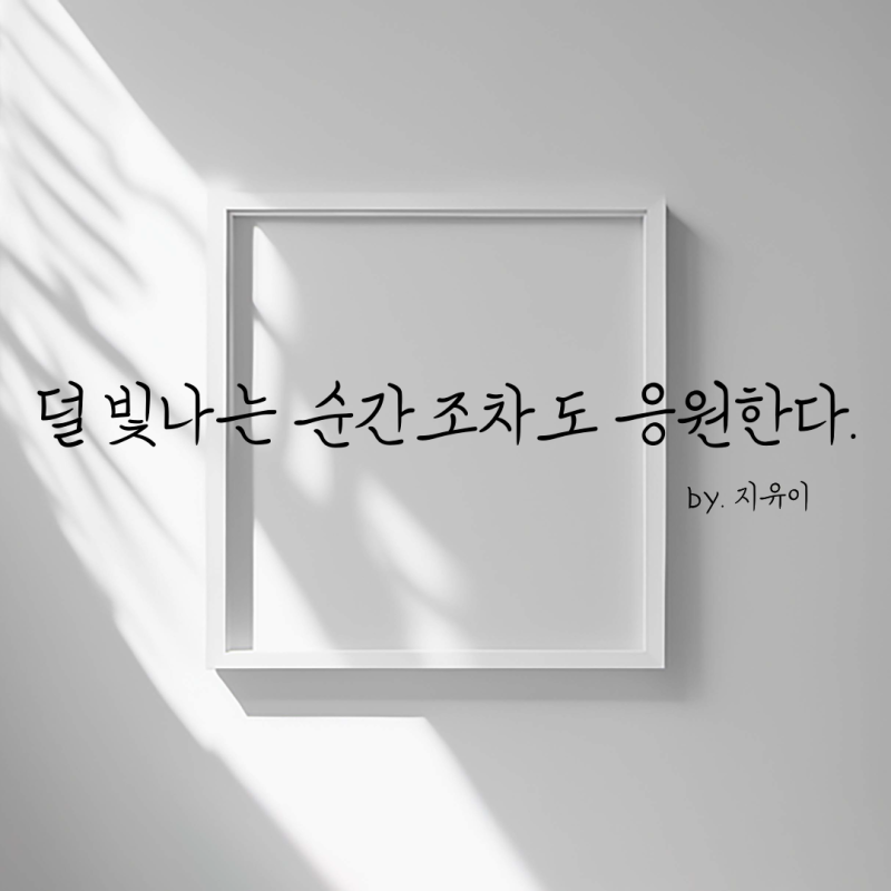 댓글 : 덜 빛나는 순간조차도 응원한다.