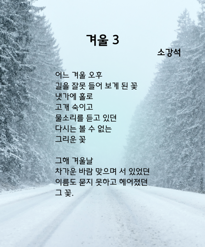 - 소강석/ 겨울 시/ 시 추천