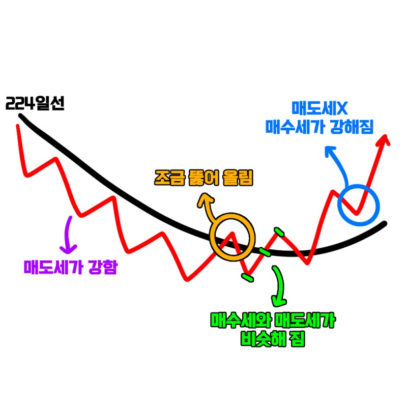 주식등의 총 지분율 관련자료 2