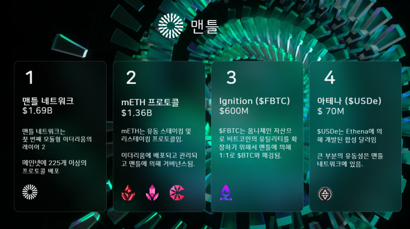 맨틀 (Mantle) 생태계가 꿀인 이유