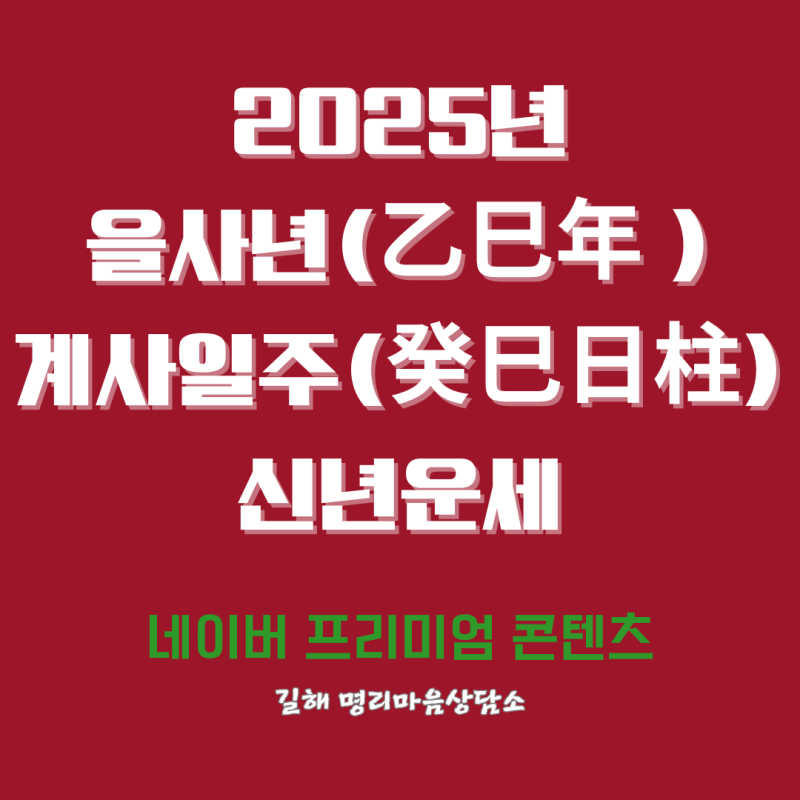 2025년 을사년(乙巳年) 신년운세 계사일주(癸巳日柱)