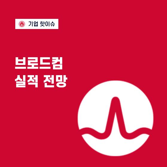 맞춤형 반도체 강자 브로드컴, ‘제2의 엔비디아’ 될까(Feat.마벨테크놀로지)
