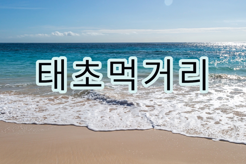 댓글 : 태초먹거리: 자연의 법칙으로 건강을 되찾다