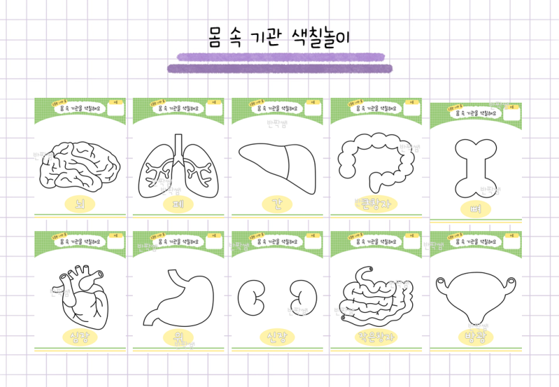 몸 속 기관 색칠놀이