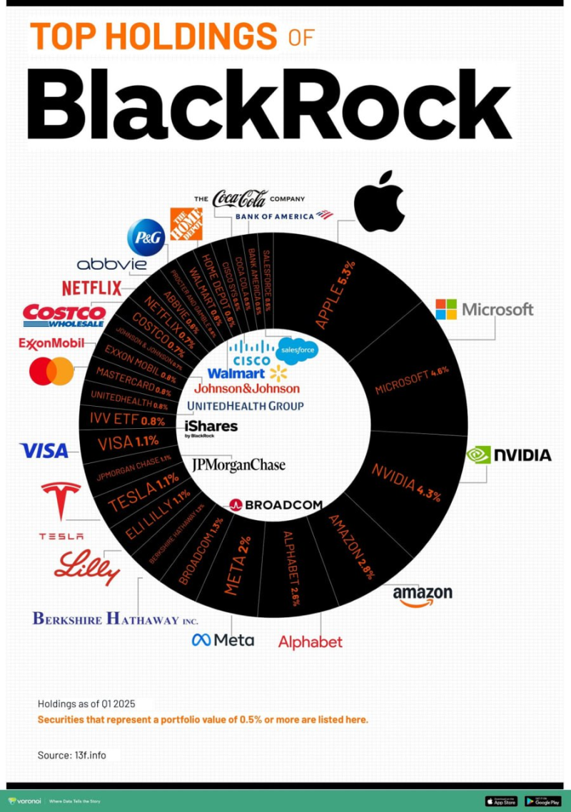 세계최대 기관 블랙록은 어떤 주식을 투자할까? 일론 머스크 자율주행 로비 시작. (25년 6월 1일 주식 투자 자료)