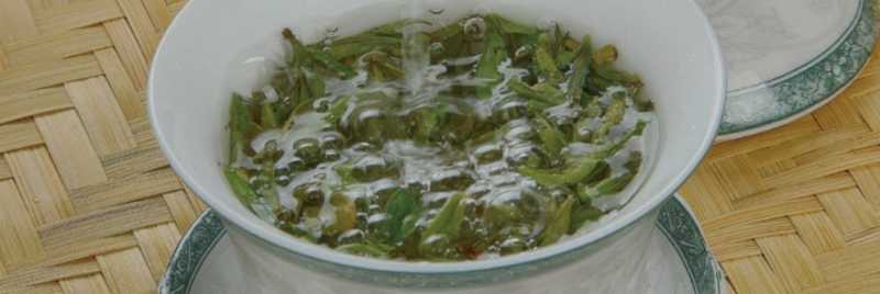 [중국차] 복건성의 청차(靑茶)/우롱차(烏龍茶) ③ 모해차(毛蟹茶)