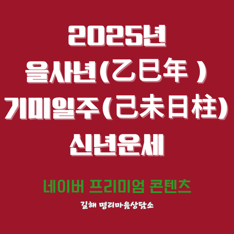 댓글 : 2025년 을사년(乙巳年) 신년운세: 기미일주(己未日柱)