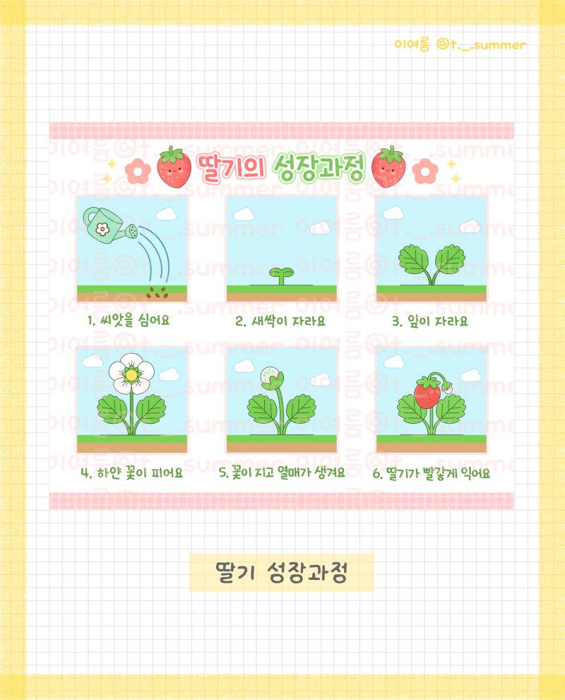 [봄] 딸기 성장과정