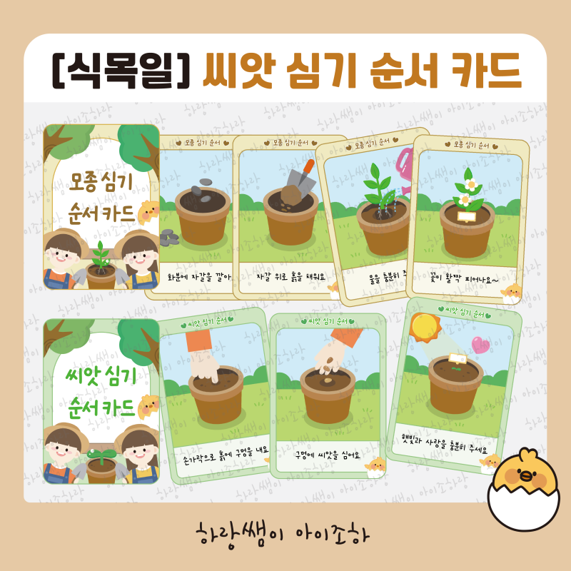[식목일] 씨앗 심는 순서 카드, 모종 심기 순서 카드