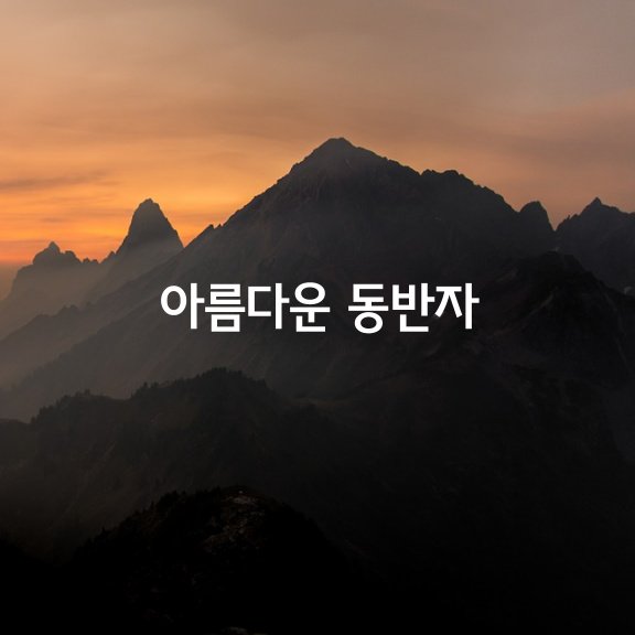 댓글 : 아름다운 동반자