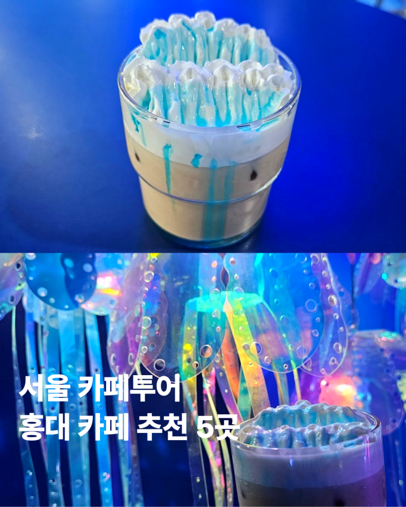 서울 홍대 카페 추천 5곳