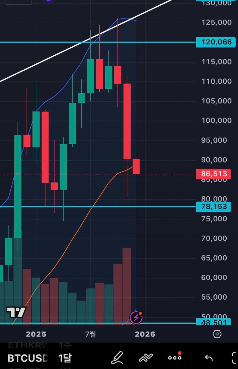 댓글 : 11월 월봉 마감 이후 방향성