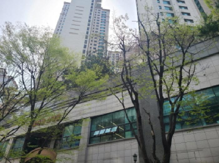 분당더샾스타파크 - 경기도 성남시 분당구 정자동 아파트 경매 분당더샾스타파크 102동 2025타경51966