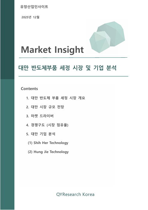 [보고서] 대만 반도체부품 세정 시장 및 기업 분석