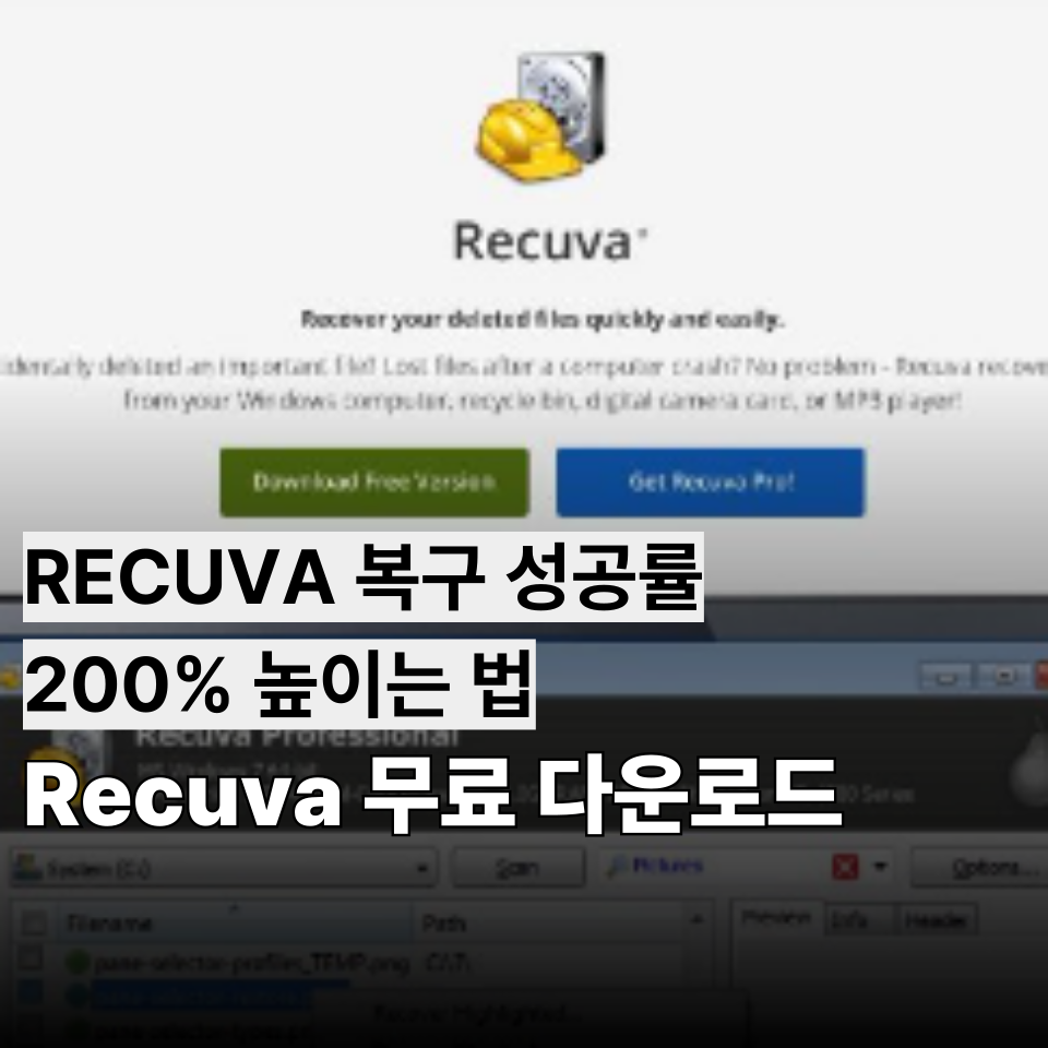 RECUVA 복구 성공률 200% 높이는 법: 삭제된 파일 되살리는 골든타임 가이드 (Recuva Download & Portable)