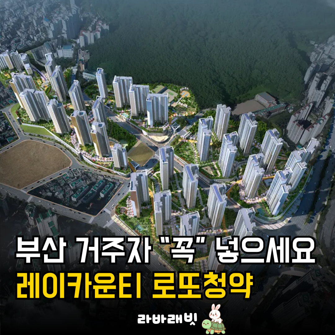 댓글 :