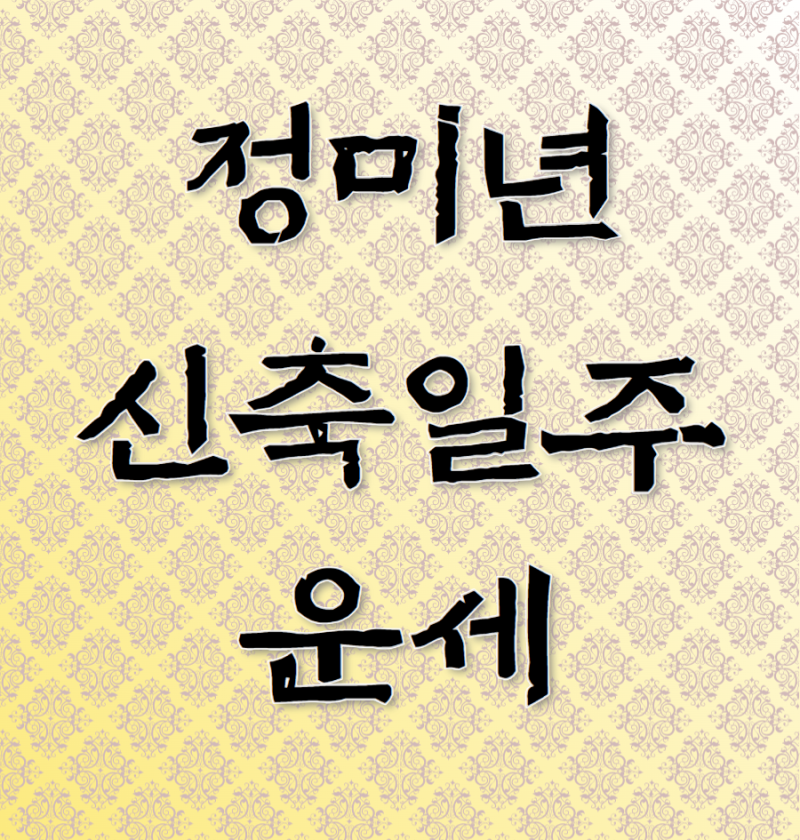2027년 정미년 신축일주 운세