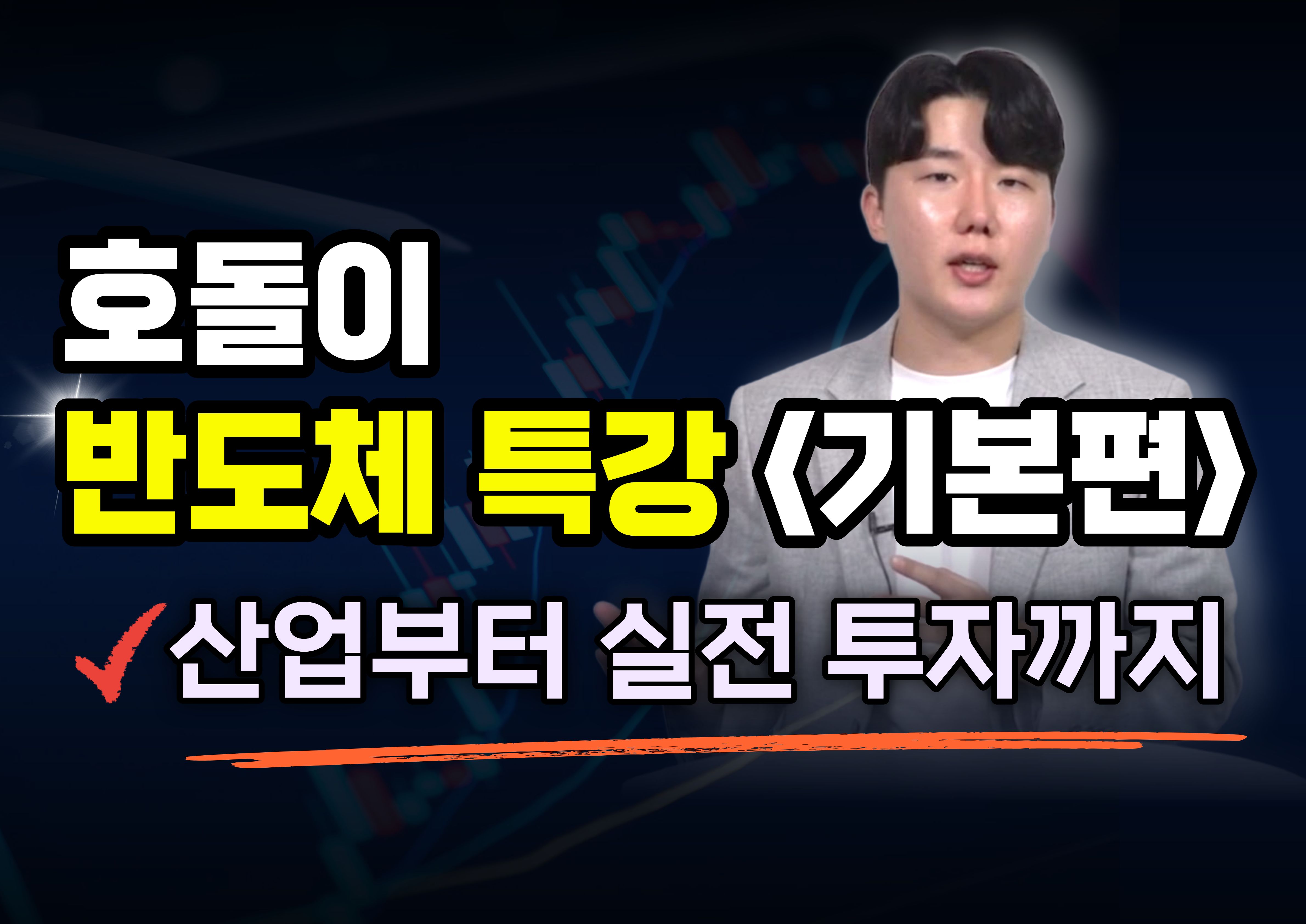 💥AI 반도체 7000조 투자 이 돈은 다 어디로 갈까? '호돌이 반도체 기본편' 산업부터 실전 투자까지!